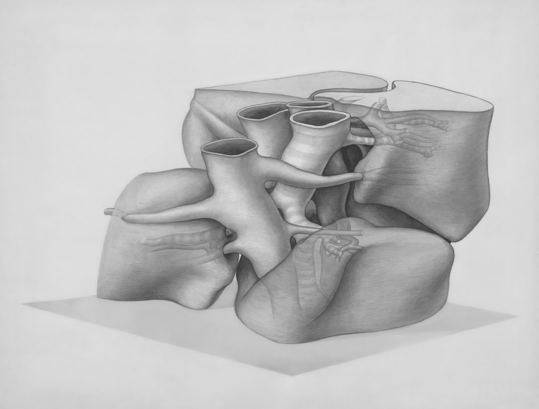 Cartilage