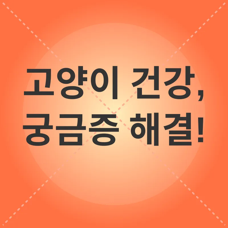 고양이 건강 관리_4