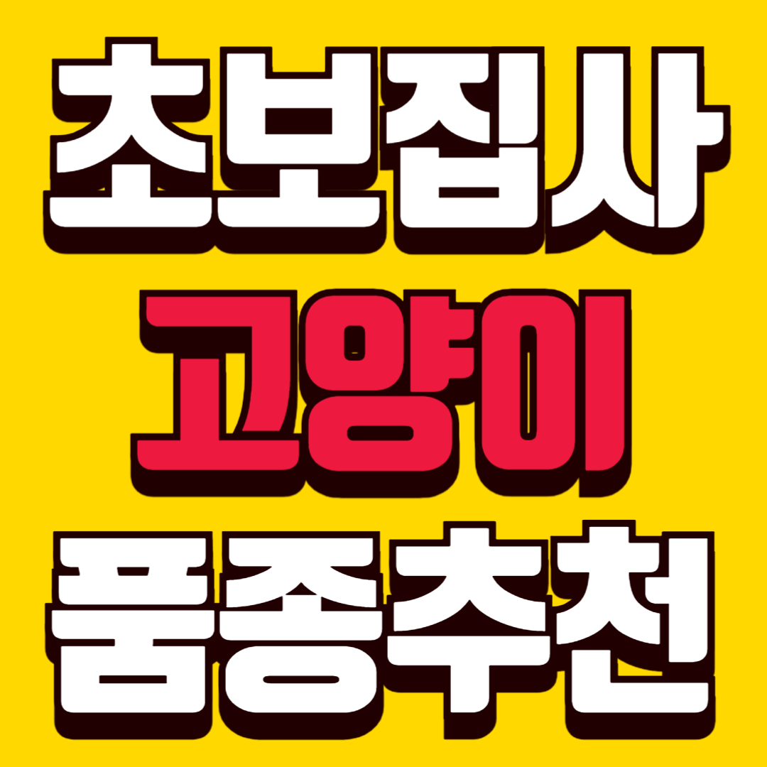 초보 집사에게 좋은 고양이 품종 실제 집사 경험 기준