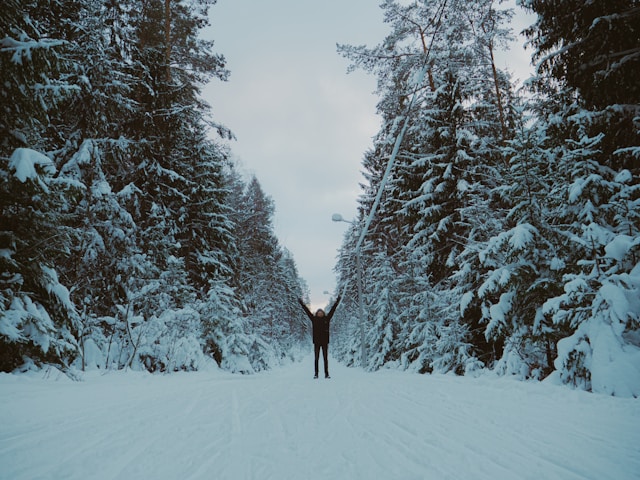 인스파이어 리조트 오로라 고래 시간 주차 꿀팁