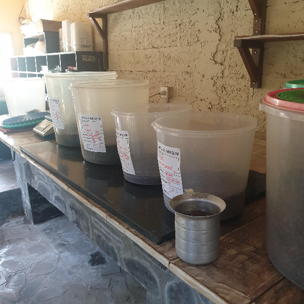 데일리 그라인드 커피(Daily Grind Coffee Shop &amp; Roastery): 발리 짱구 지역 카페 ③_원두 보관통