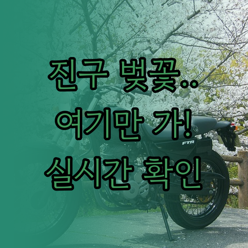 부산진구 벚꽃 명소 베스트 3 및 실..