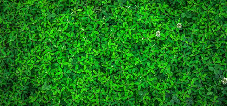 봄화장여성패션벚꽃놀이벚꽃명소