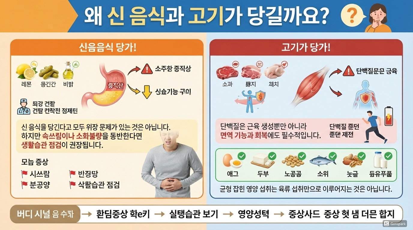신맛과 고기가 먹고 싶은 이유
