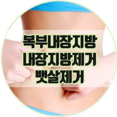내장 지방 제거