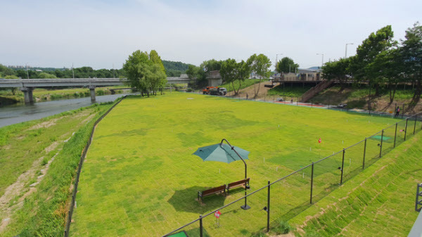 서울 파크골프장 TOP 7 / 입문자부터 시니어까지 추천 코스 총정리