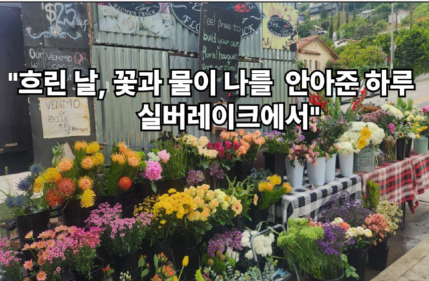 "실버레이크 주말 꽃 트럭 앞에 진열된 다양한 봄꽃" 사진