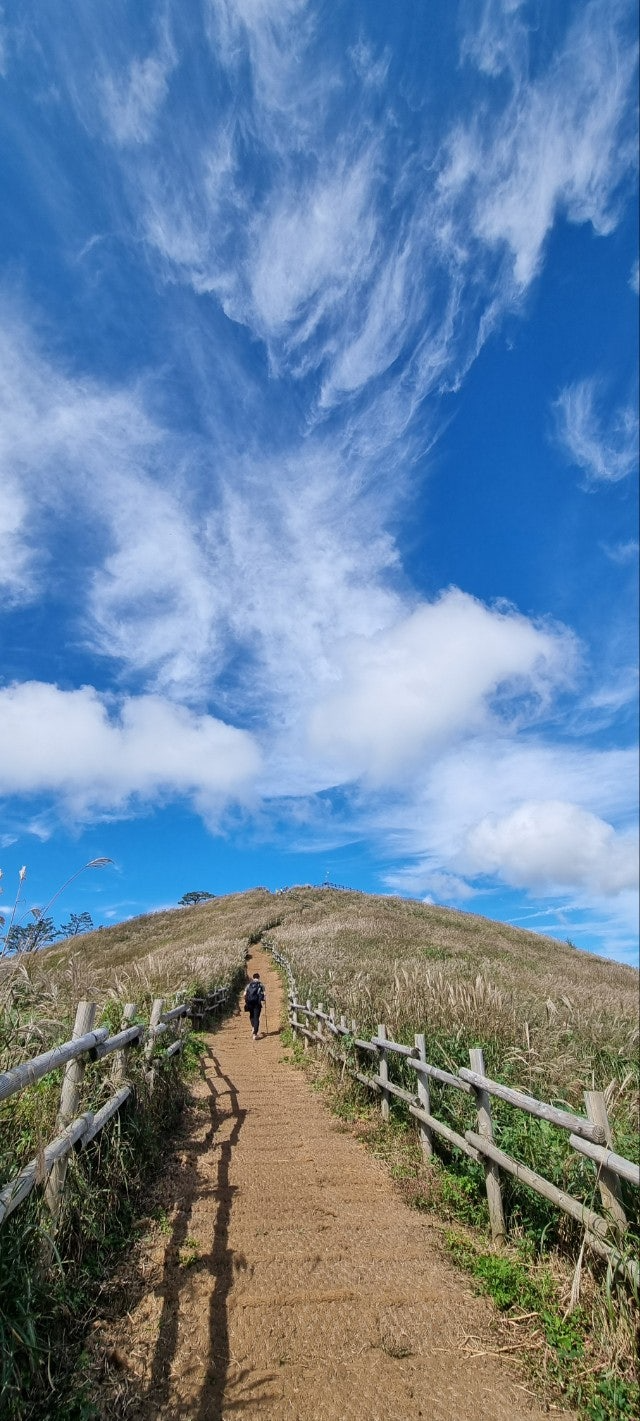 민둥산억새축제