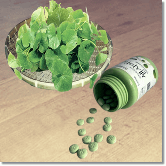 센시아 효능 및 특성 섭취량과 부작용