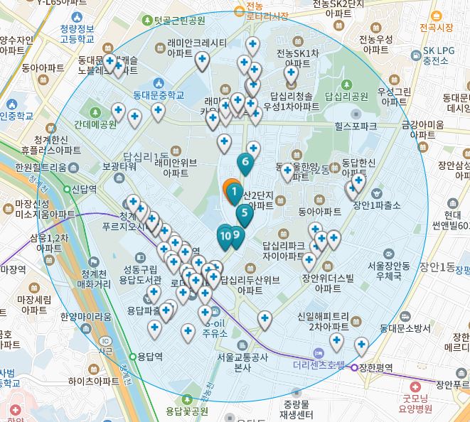 서울시 동대문구 답십리동 일요일 진료 휴일 문 여는 병원