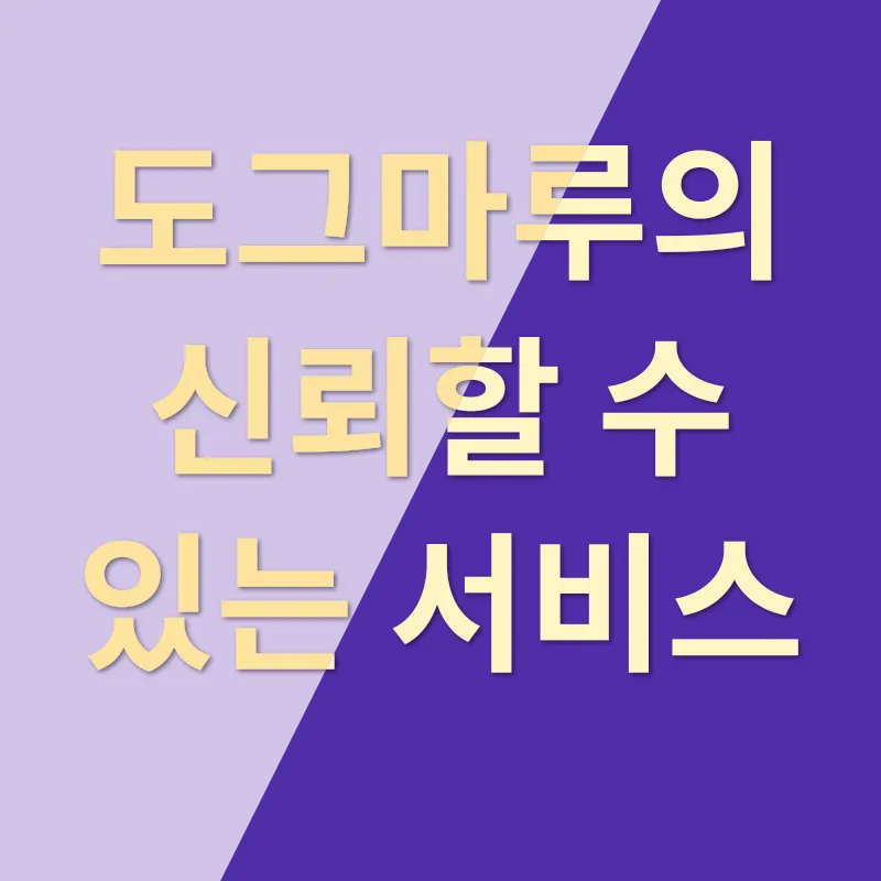 스탠다드푸들분양_3