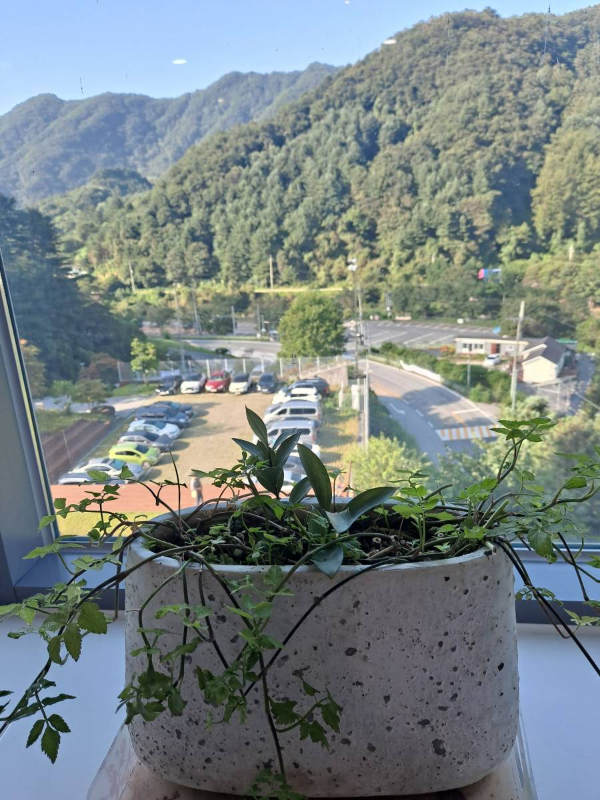 압바암마카페 바깥풍경