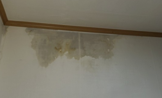 벽지-물얼룩-누수-임대인-수리부담