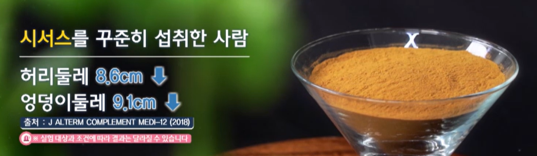 시서스 효능