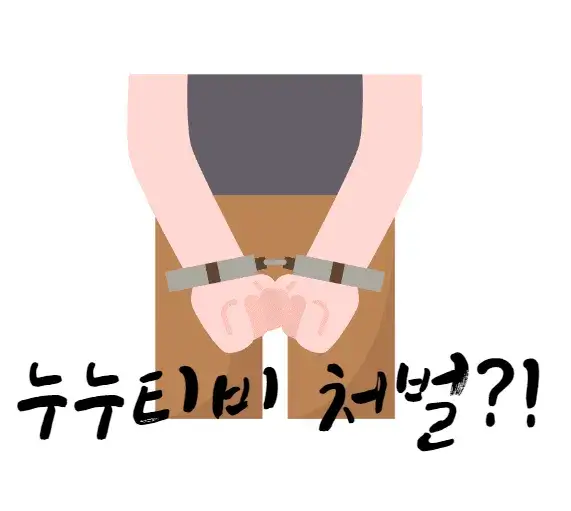 누누티비-처벌