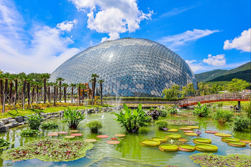 거제 식물원 정글돔