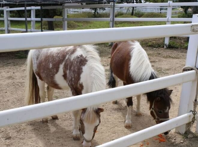 영천 가볼만한곳 베스트 10