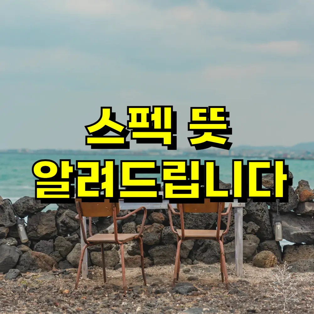 스펙 뜻 알려드립니다