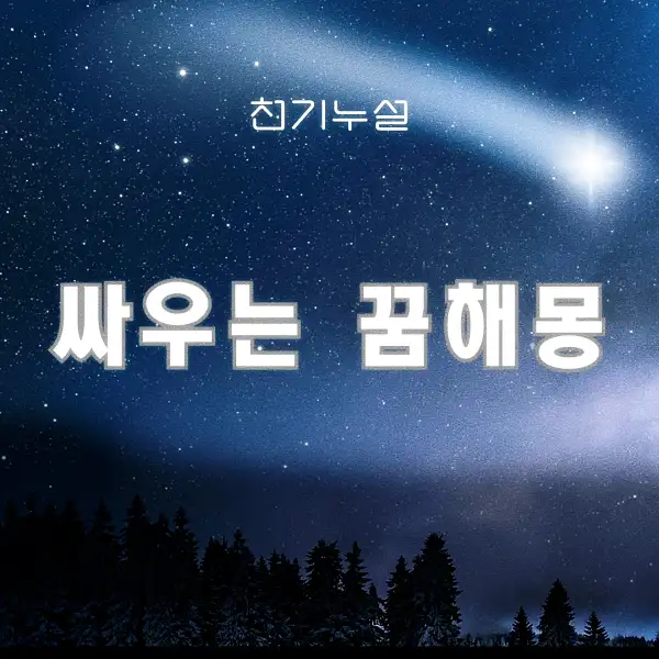 싸우는 꿈해몽