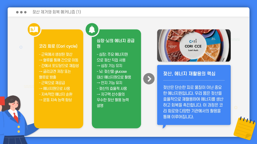 젖산, 피로의 적인가 운동 효과를 바꾸는 비밀의 열쇠!