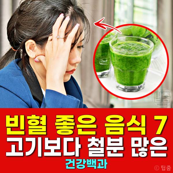 빈혈 좋은음식 천연철분제 갱년기빈혈 노인빈혈