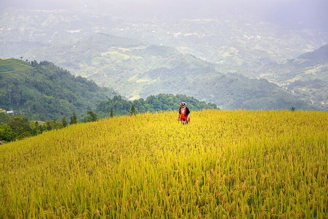 농경학적 시각에서 본 식량 주권