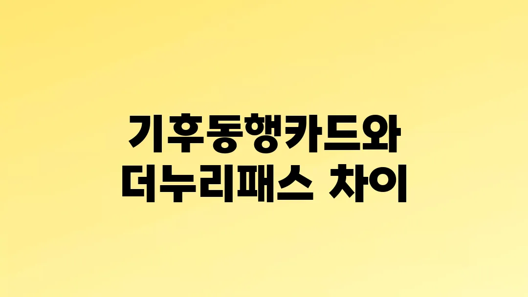기후동행카드와 더누리패스 차이점 완벽 비교