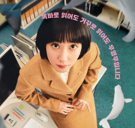 한국형 블랙코미디 인기 요인 분석 이미지