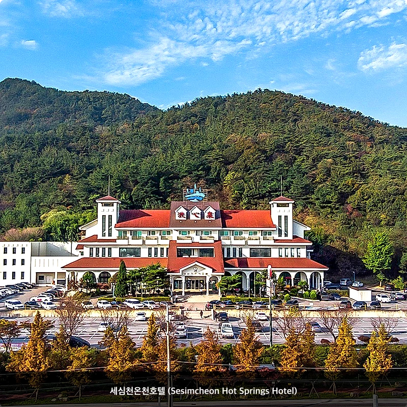 세심천온천호텔 (Sesimcheon Hot Springs Hotel)_1