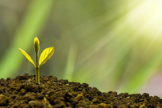 기초생활수급자 자격요건
