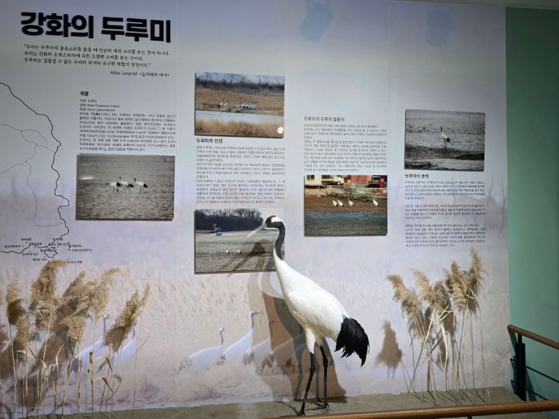 강화자연사박물관