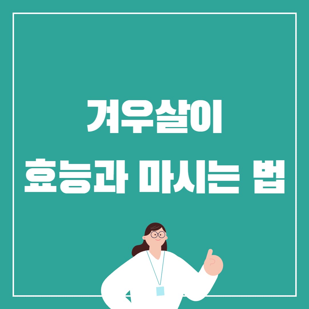 겨우살이 효능 알아보기
