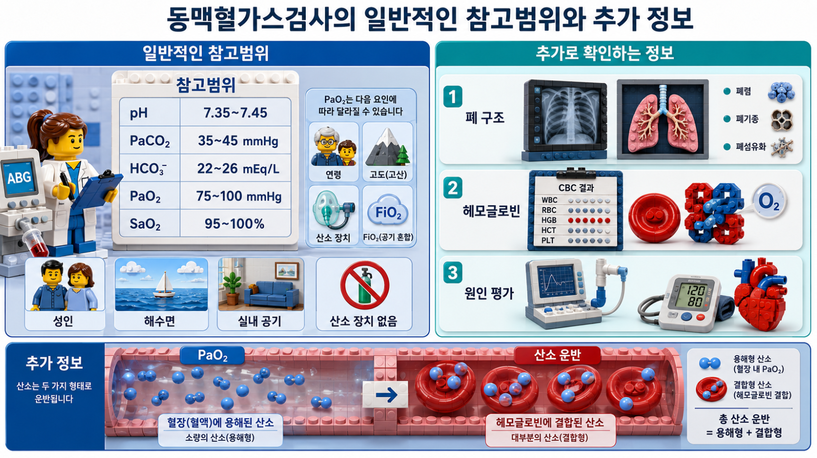 동맥혈가스검사의 일반적인 참고범위와 추가로 확인하는 정보를 정리한 의료 인포그래픽