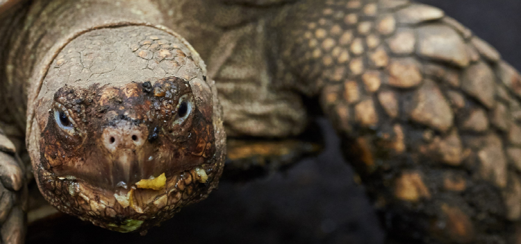 아라마루 아쿠아리움