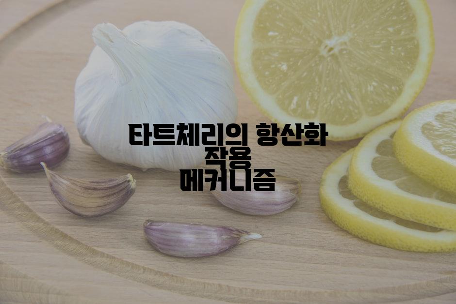 타트체리의 항산화 작용 메커니즘