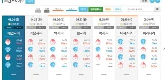 조석 물때 바다 낚시 바람 파고 배 출항 점검_2