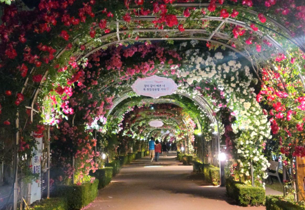 2025 중랑 서울장미축제