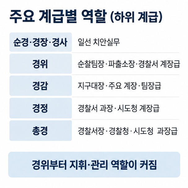 순경부터 총경까지 일선 치안실무 지구대 순찰팀장 경찰서 계장 과장 경찰서장 등 대표 역할을 정리한 이미지