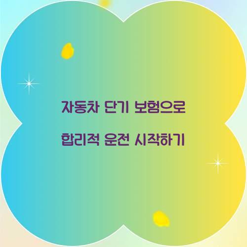 자동차 단기 보험