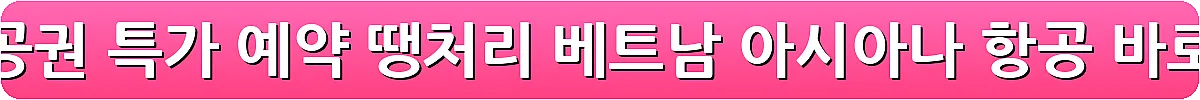 다낭 항공권 특가 예약 땡처리 베트남 아시아나 항공_3