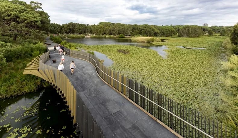 뱀장어의 모양의 시드니 센테니얼 파크랜드 다리 Centennial Parklands Bridge in Sydney