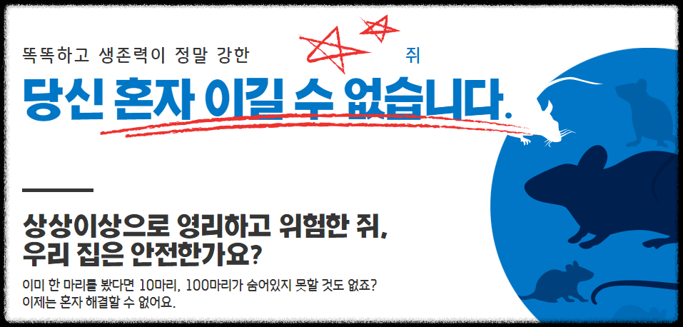 세스코 가정집 비용 아파트,원룸,투룸 가격 (셀프진단)