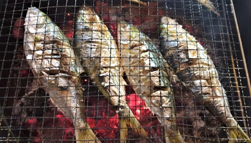 가을이면 생각나는 생선 전어