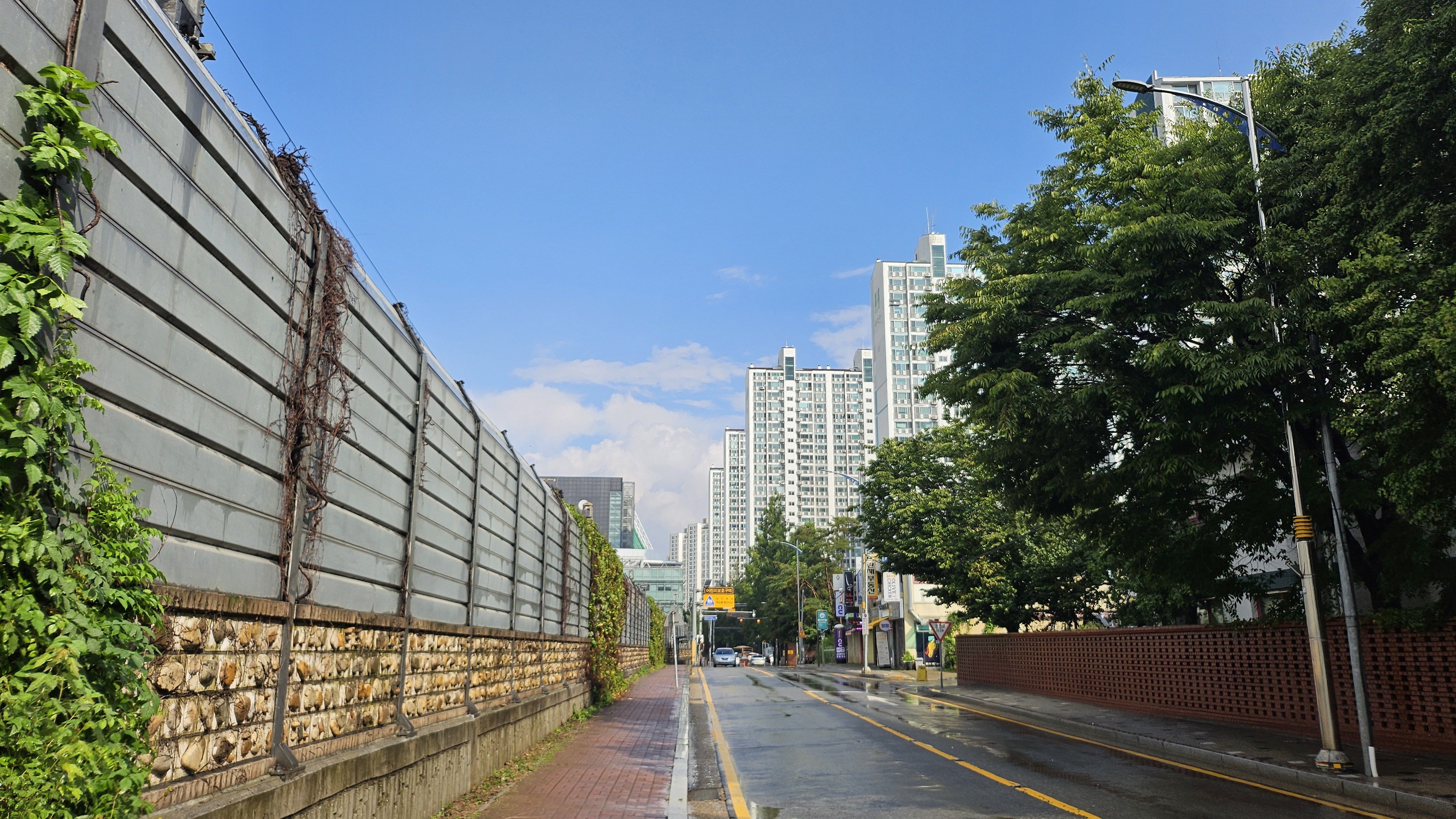 비 내리는 맑은 날