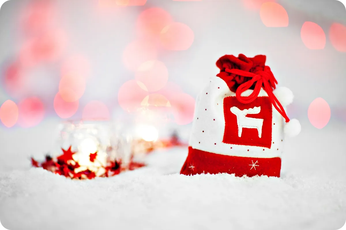 크리스마스-선물가방-화이트배경-빨간주머니가방