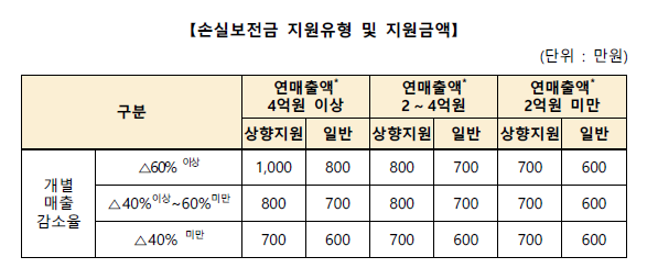 손실보전금