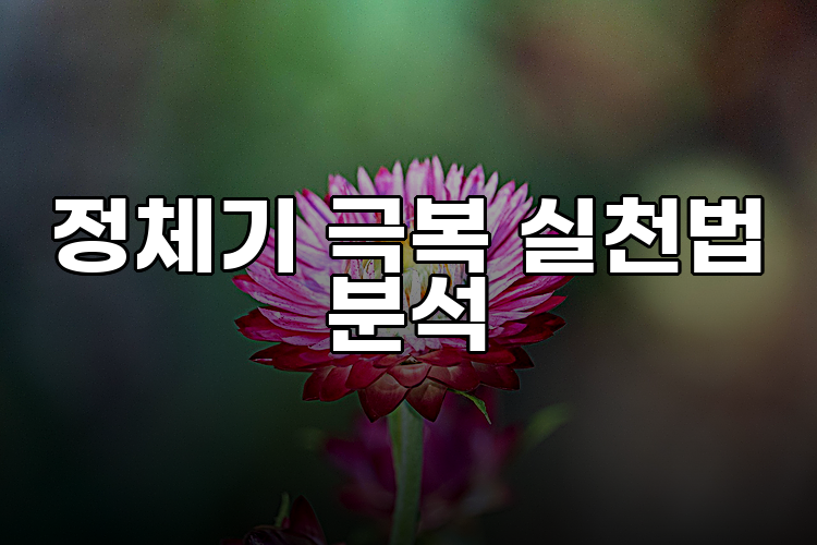 정체기 극복 실천법 분석