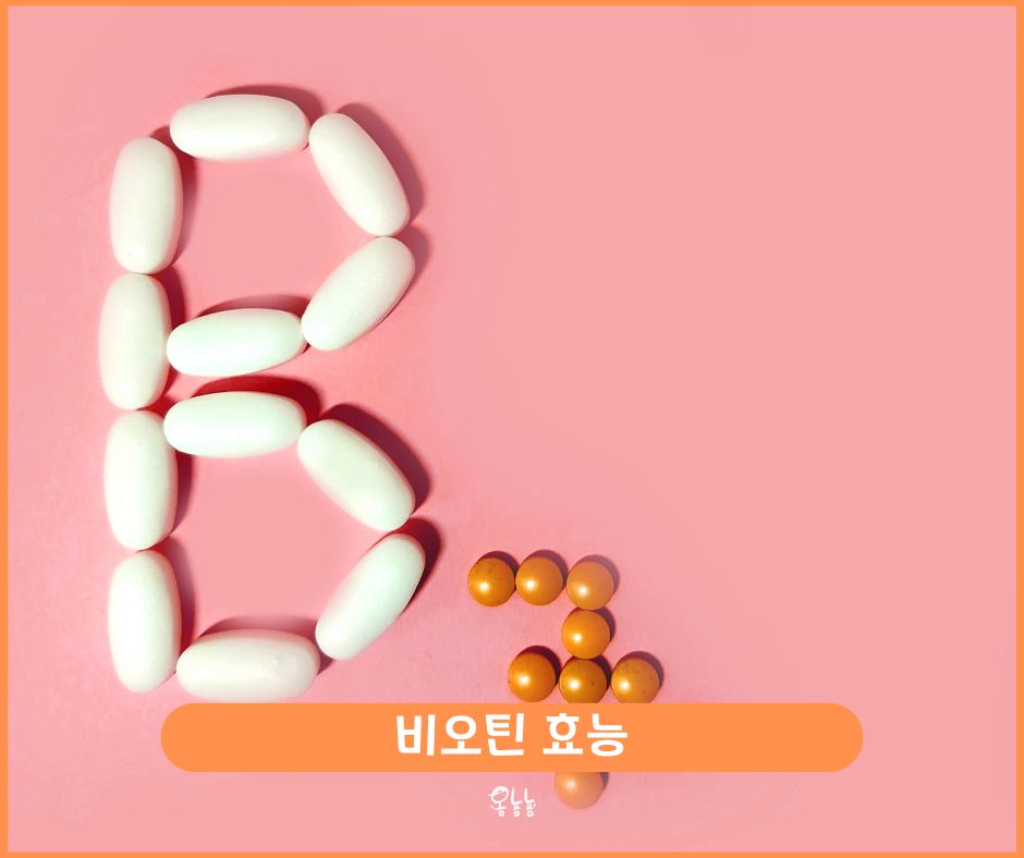 비오틴 효능
