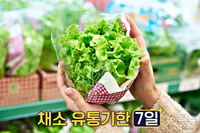 채소 유통기한 7일