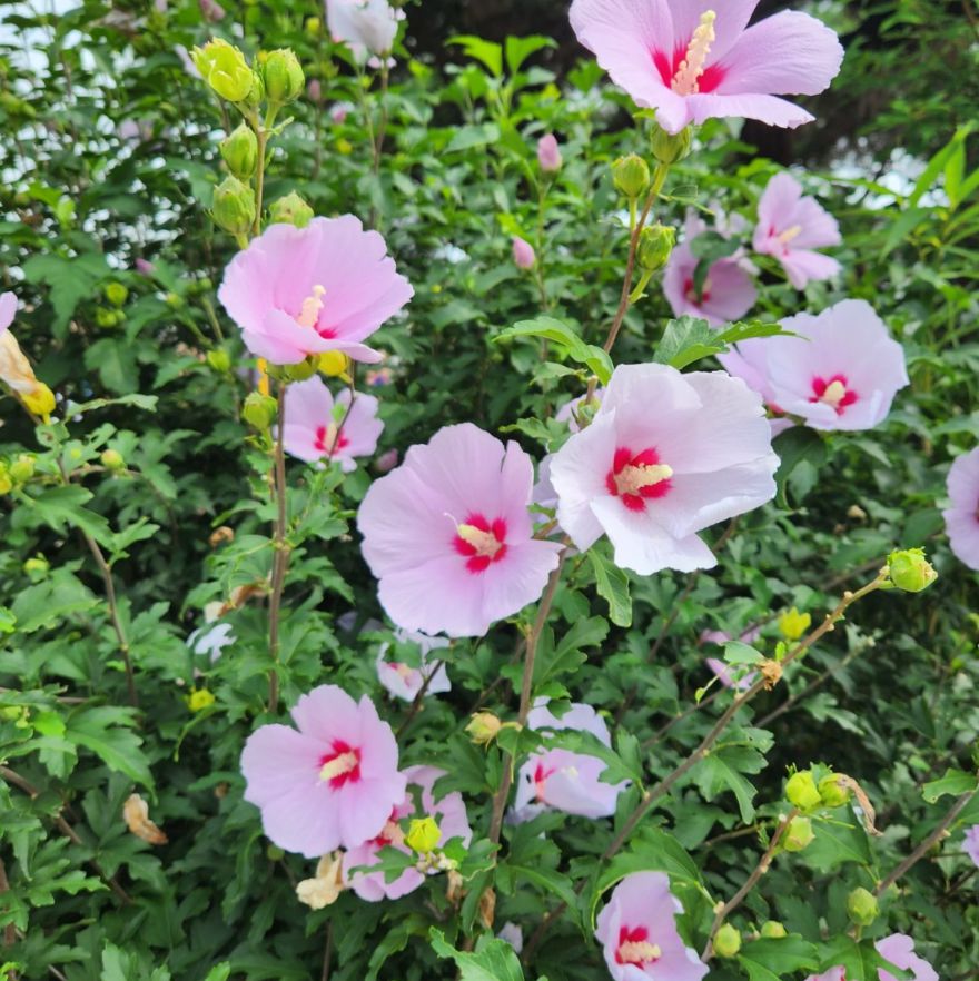 안산올림픽기념관